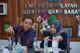 PLN UIW NTB memperkuat keandalan listrik untuk dorong industrialisasi