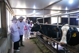 Govt seeks to integrate dairy cooperatives into MBG supply chain