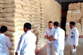 Bulog catat stok beras di Bali tembus 12 ribu ton yang cukup hingga 2027