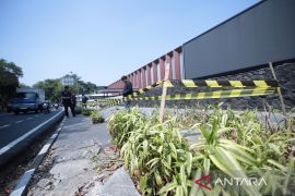 Wali Kota ancam pidanakan pelaku penebangan 10 pohon di Jalan Riau Bandung
