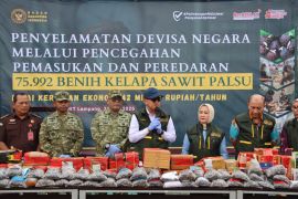 Barantin gagalkan peredaran 75.992 benih sawit ilegal di Lampung