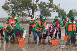 Sumsel optimalkan Kelompok Kerja Mangrove Daerah, cegah eksploitasi pesisir