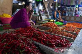 Harga cabai rawit Rp54.450/kilogram, telur ayam Rp29.550/kilogram