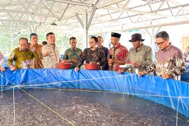 PLN Peduli salurkan program budi daya lele sistem  bioflok di Tulang Bawang Barat