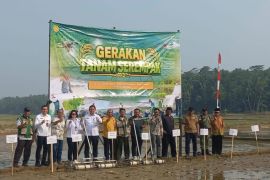 Pemkab Lebak-Kementan tanam serempak, dukung swasembada pangan