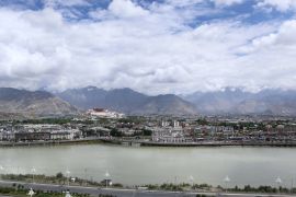 Obat dan madu dari plato Tibet
