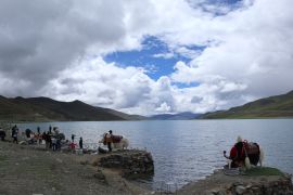 Catatan jurnalis ANTARA dari Xizang: Mengenal obat tradisional Tibet dan terapi Lum