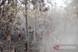 Karhutla di Sungai Rotan Muara Enim meluas capai 8,5 hektare
