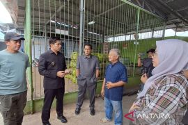 Pemkab Rejang Lebong usulkan penambahan kuota elpiji bersubsidi