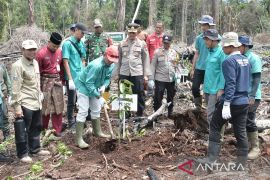 PT Sakato Pratama Makmur rehabilitasi kawasan konservasi pascakebakaran