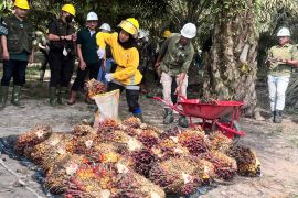 Astra Agro: Pupuk hayati dipakai pada kebun sawit untuk kurangi emisi