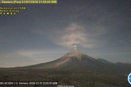 Semeru erupsi dengan tinggi letusan 800 meter di atas puncak
