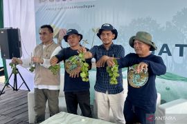Petambak Sepatin akui rehabilitasi mangrove pulihkan hasil tambak