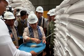 BULOG Kalsel revitalisasi gudang berkapasitas 3.500 ton