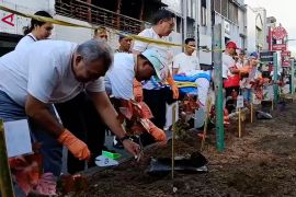 ASN Pemkot Ambon tanam 5 ribu pohon gadihu di RTH