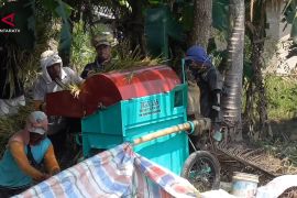 Serapan gabah petani Bulog Sumut tembus 50 persen dari target 2026