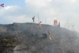 Musim kemarau, Damkar Jember catat 23 kebakaran dan tingkatkan siaga