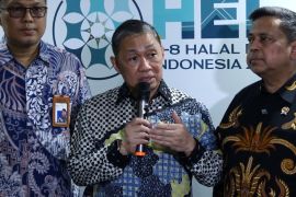 Kejar Target Perdagangan, Indonesia Perkuat Integrasi Ekonomi D-9