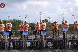 Kemen LH, KKP, dan Gubernur Bali tanam ribuan bibit mangrove