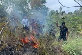 Puluhan personel TNI AU berjibaku padamkan karhutla di Bukit Radar