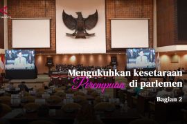 Mengukuhkan kesetaraan perempuan di parlemen (bagian 2)