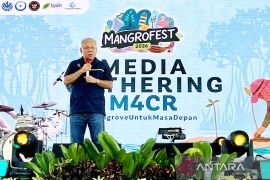 Otorita IKN dorong rehabilitasi mangrove untuk lindungi pesisir