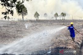 Kalsel pertimbangkan OMC kedua antisipasi karhutla