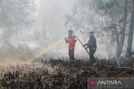 BPBD Palangka Raya tangani 130 kejadian kebakaran lahan hingga 31 Juli
