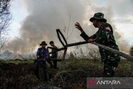 Wagub Kalteng dorong akademisi lahirkan inovasi untuk atasi karhutla