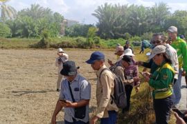 BBRMP Maluku latih 31 penyuluh membuat poligon lahan pertanian berbasis teknologi digital