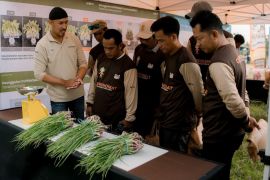 Syngenta Indonesia dorong inovasi pertanian berkelanjutan