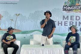 Pola "silvofishery" meningkatkan minat petambak rehabilitasi mangrove