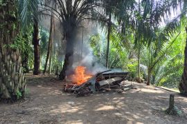 Gubuk lapak nyabu dibakar, 1 pria diamankan