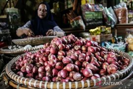 Harga telur ayam Rp29.650/kg, bawang merah Rp40.450/kg