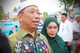 Tapin perluas sawah 3.935 hektare tingkatkan produksi padi