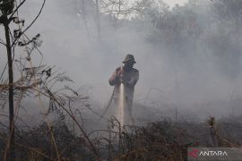 Karhutla di belakang dua sekolah di Kubu Raya