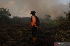 Kasus ISPA di Kota Pontianak meningkat 10 persen dampak kabut asap