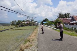PLN percepat pemulihan belasan tiang listrik roboh di Parimo