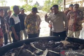 Kementan dorong pengembangan gula tumbu alternatif hilirisasi tebu