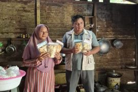 PT SKS Listrik Kalimantan dampingi UMKM Rungan mengakses sertifikasi halal