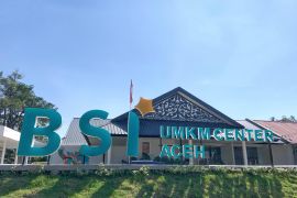 Percepat penguatan ekonomi kerakyatan, ini ekosistem dibangun BSI bersama Danantara