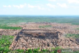 Tim Satgas Karhutla padamkan 8,5 ha kebakaran lahan di Sungai Rotan