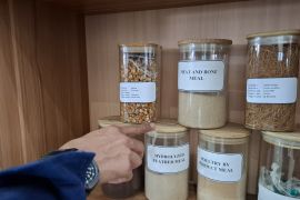BPS catat neraca perdagangan luar negeri Lampung surplus 533,60 juta dolar AS