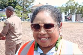Pemkab Jayawijaya siapkan 20 armada pengangkut sampah di Wamena