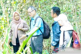 ULM dan NTU Singapura jajaki kolaborasi riset konservasi bekantan