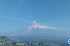 Semeru lima kali erupsi dengan tinggi letusan hingga 700 meter
