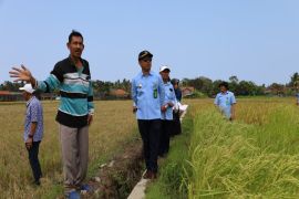 Kulon Progo mempercepat pengadaan TKD Palihan terdampak pembangunan YIA