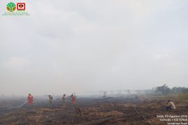 Manggala Agni terkendala sumber air padamkan karhutla hampir 50 hektar di Riau