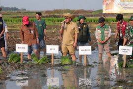 Bupati HSU pimpin tanam padi dan siapkan 700 Ha lahan