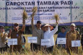 Bupati Banjar tegaskan komitmen jaga ketahanan pangan